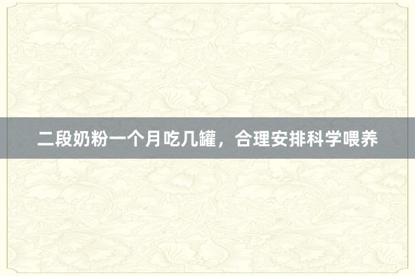 二段奶粉一个月吃几罐，合理安排科学喂养